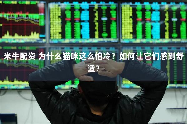 米牛配资 为什么猫咪这么怕冷？如何让它们感到舒适？