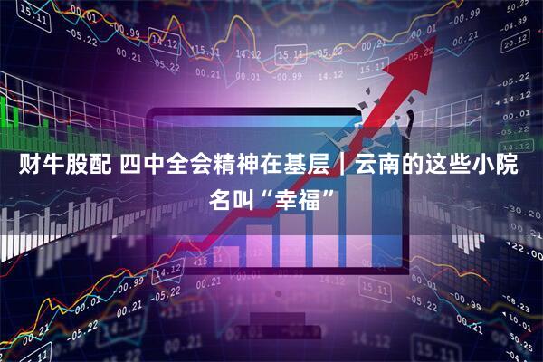 财牛股配 四中全会精神在基层｜云南的这些小院 名叫“幸福”