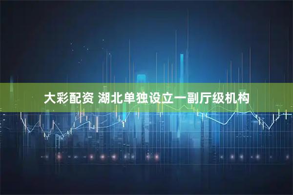 大彩配资 湖北单独设立一副厅级机构