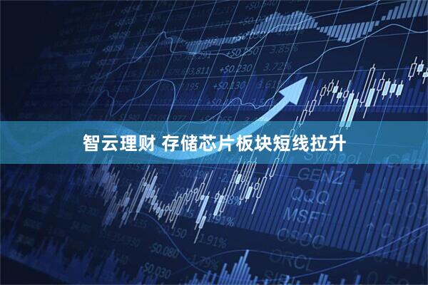 智云理财 存储芯片板块短线拉升