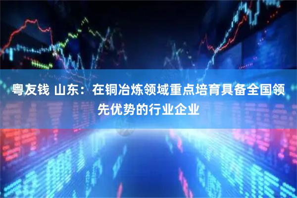 粤友钱 山东：在铜冶炼领域重点培育具备全国领先优势的行业企业